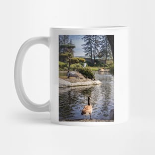 Japanese Garden Woodley Park California 3 Mug